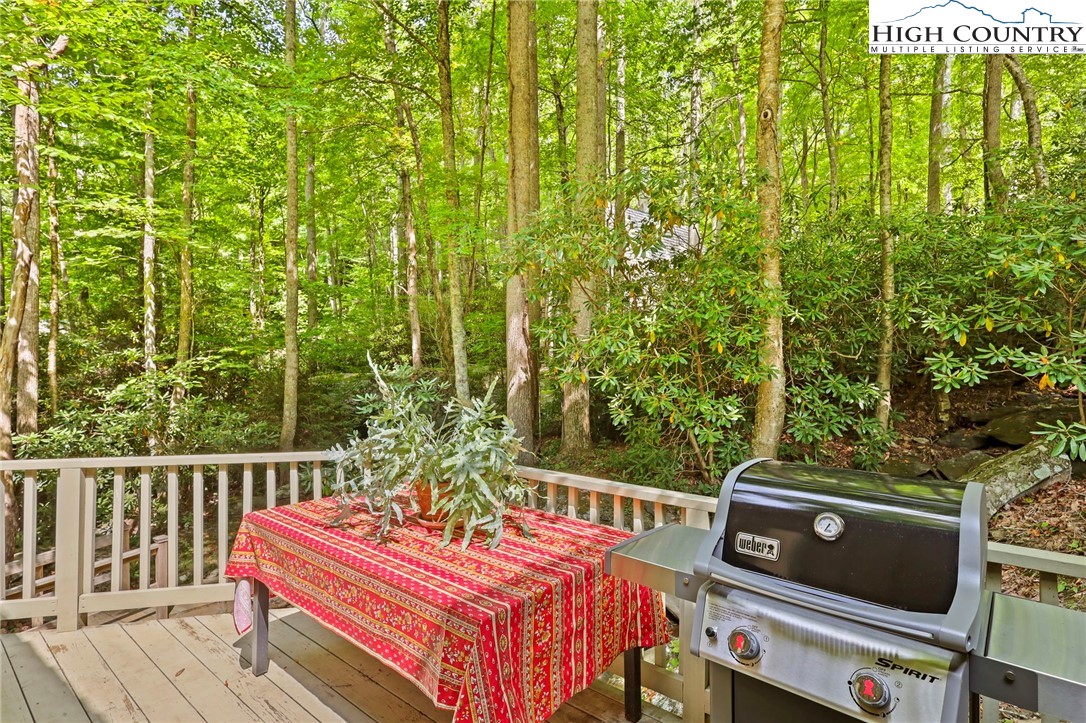 429 Cherry Lane Boone, NC 28607 - Photo 49 of 50