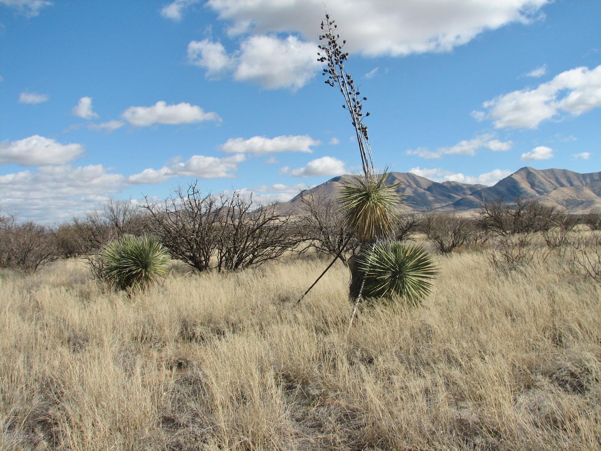 19.64-ac East Dragoon Road Dragoon, AZ 85609 - Photo 8 of 10