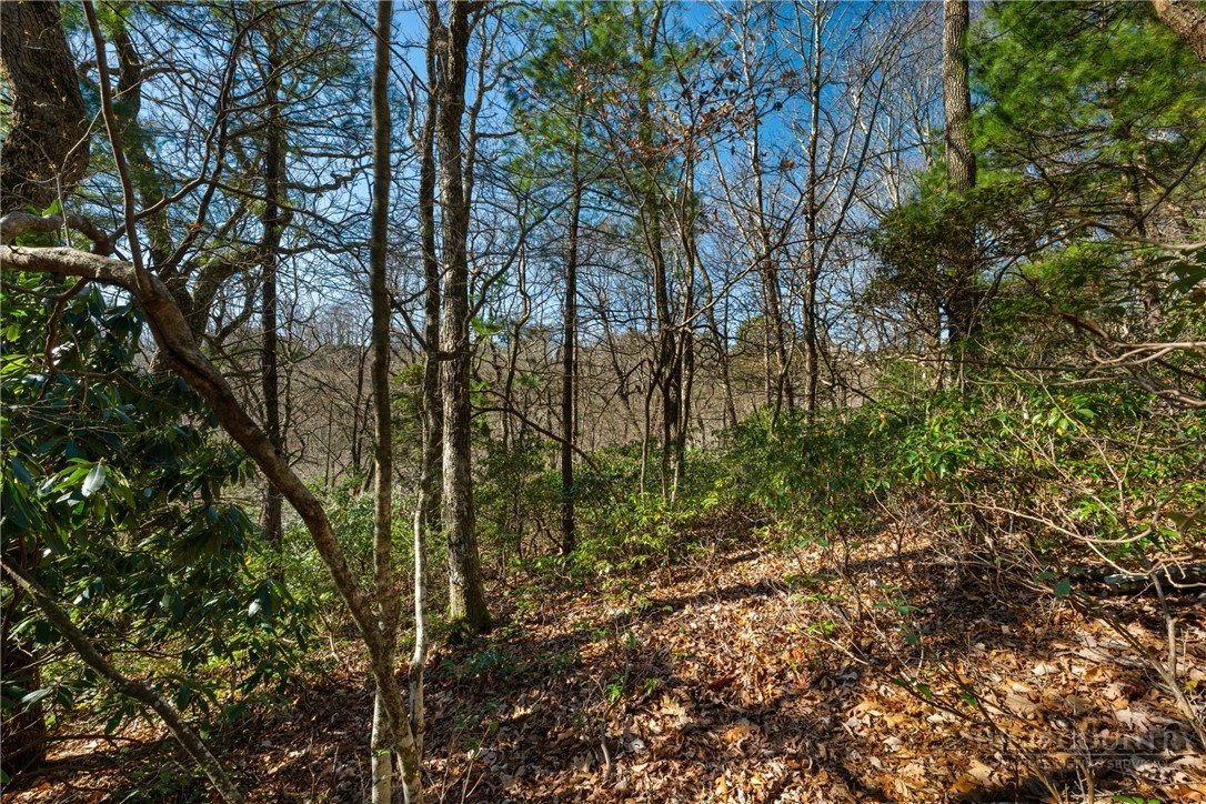 Lot 61 Boone Coffey Trail Boone, NC 28607 - Photo 8 of 22