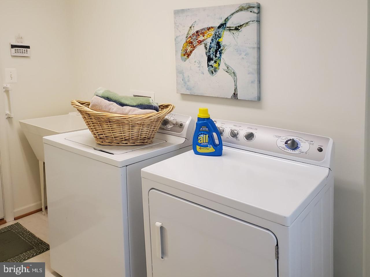 718 Pasadena Road Pasadena, MD 21122 - Photo 12 of 21 first floor Laundry