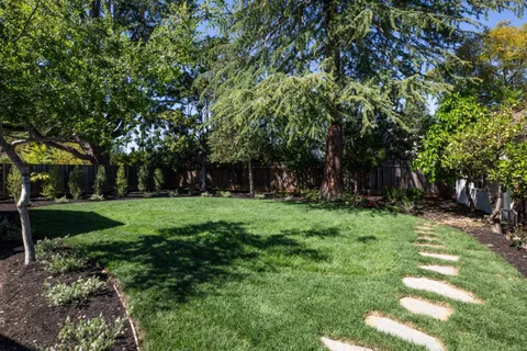 a view of a backyard with large trees