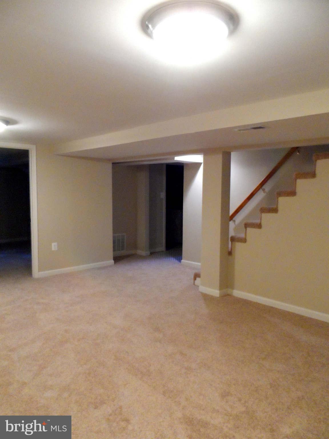 12406 Feldon Street Silver Spring, MD 20906 - Photo 14 of 20 Basement