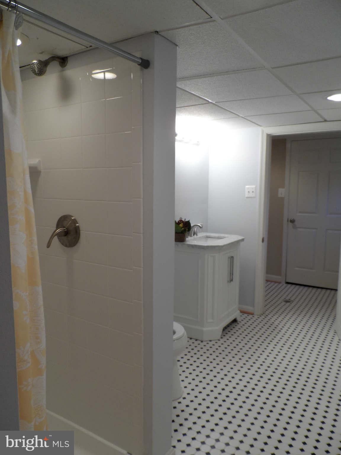 12406 Feldon Street Silver Spring, MD 20906 - Photo 17 of 20 Bath