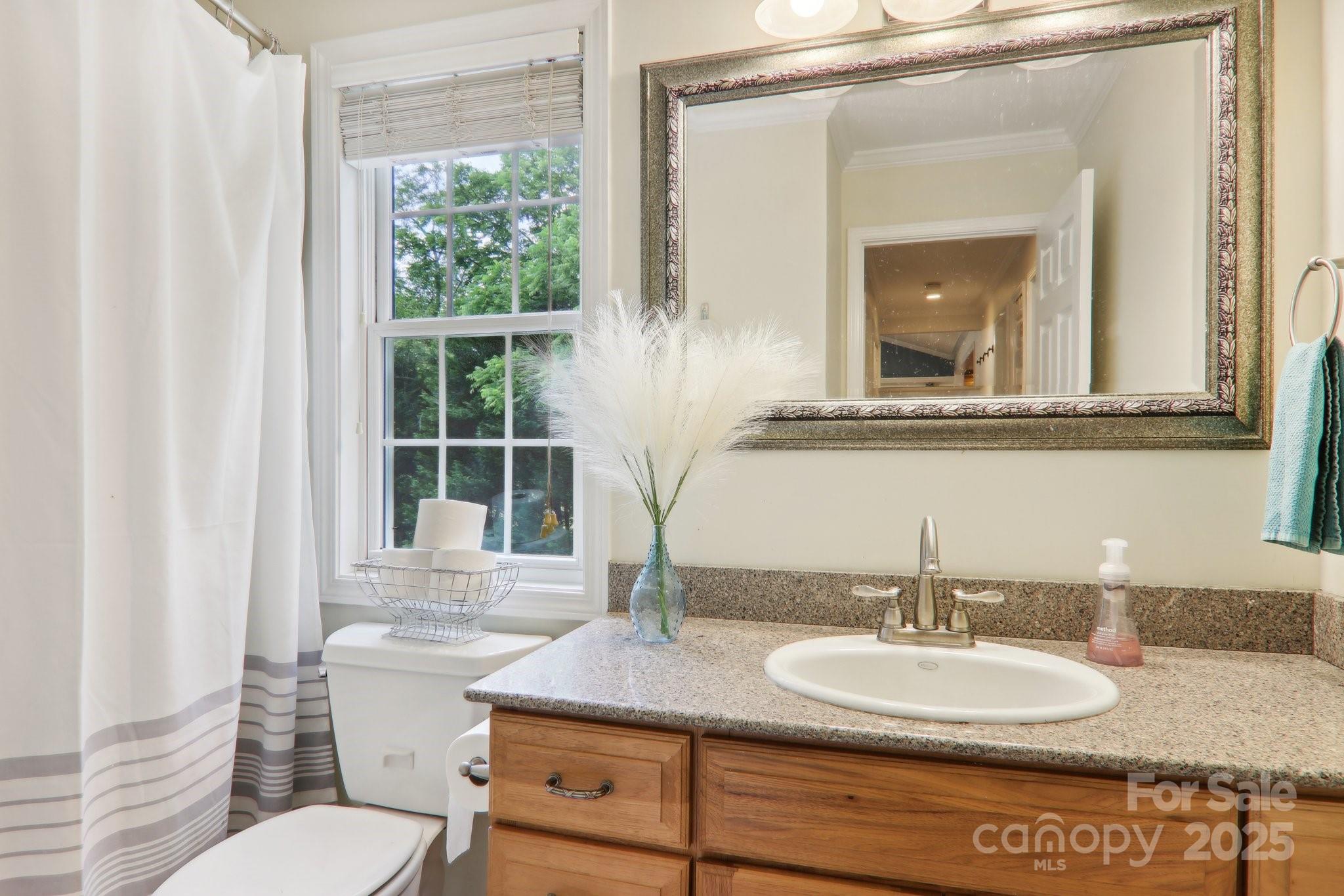 33 Warlick Road Mills River, NC 28759 - Photo 32 of 48 a bathroom with a granite countertop sink and a mirror