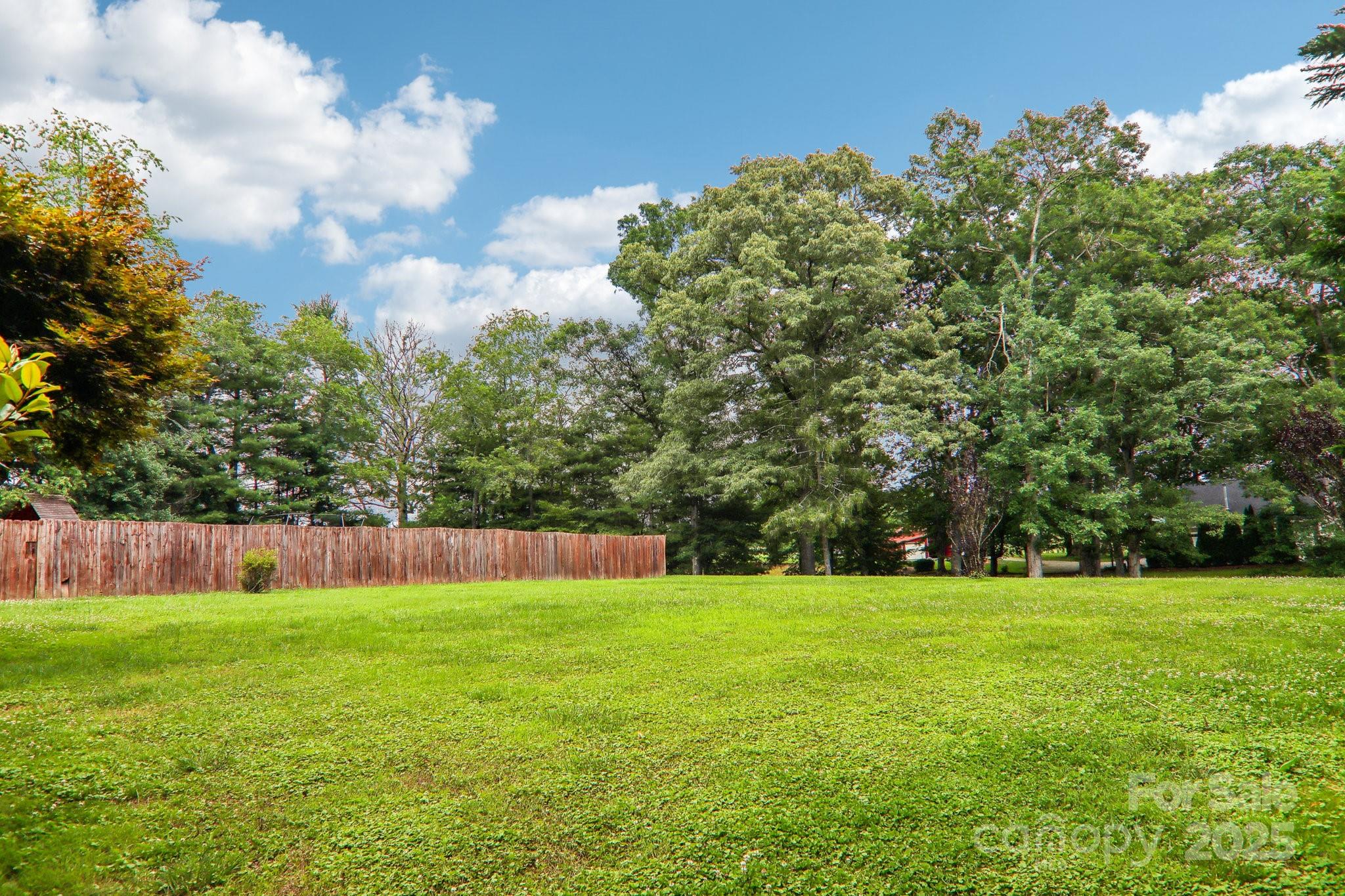33 Warlick Road Mills River, NC 28759 - Photo 42 of 48 a view of garden with trees in the background