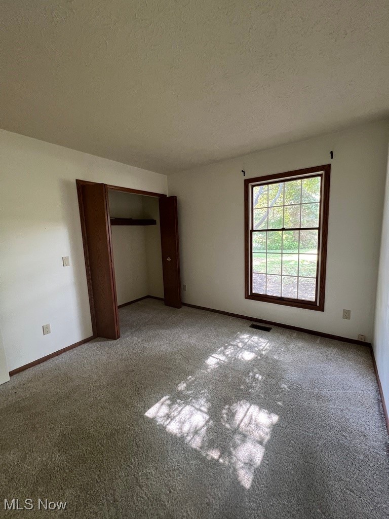 11331 Palmer Road Painesville, OH 44077 - Photo 23 of 47 Unfurnished bedroom featuring light colored carpet, a textured ceiling, and a closet