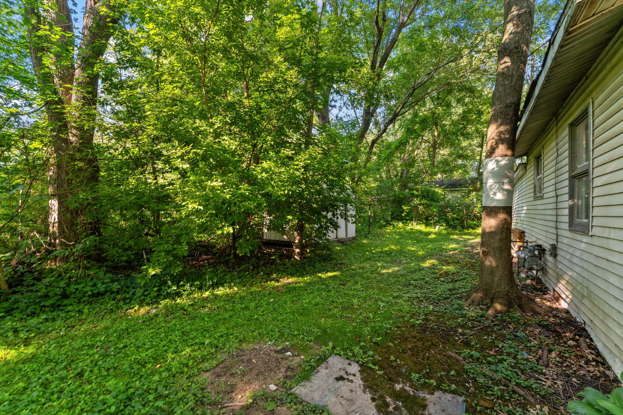 1910 South Calhoun Street Griffith, IN 46319 - Photo 32 of 34 a view of a lush green forest