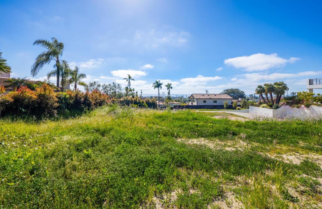397 Sunset Drive Encinitas, CA 92024 - Photo 9 of 15 a view of a garden