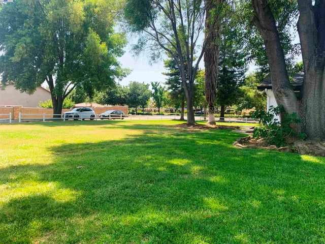 a view of a park with trees