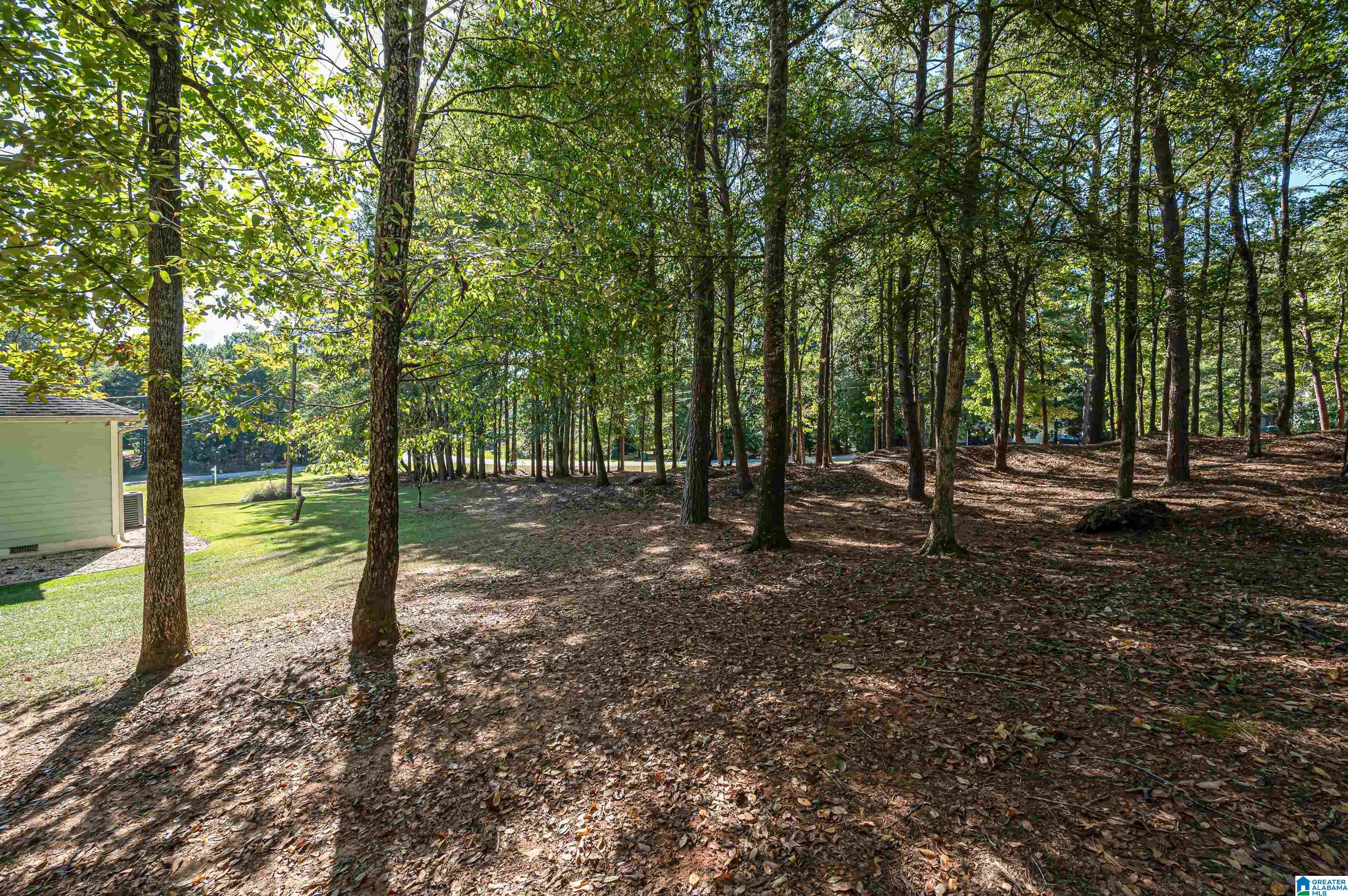 22370 Trace Road McCalla, AL 35111 - Photo 38 of 51