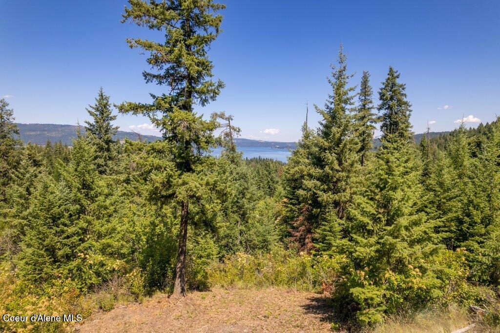 97 Highway 97 Harrison, ID 83833 - Photo 3 of 23 Potential Buildsite w Views