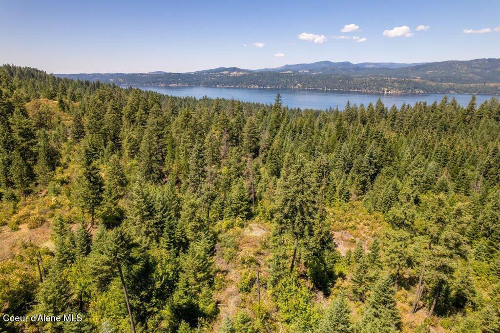 97 Highway 97 Harrison, ID 83833 - Photo 9 of 23 Aerial