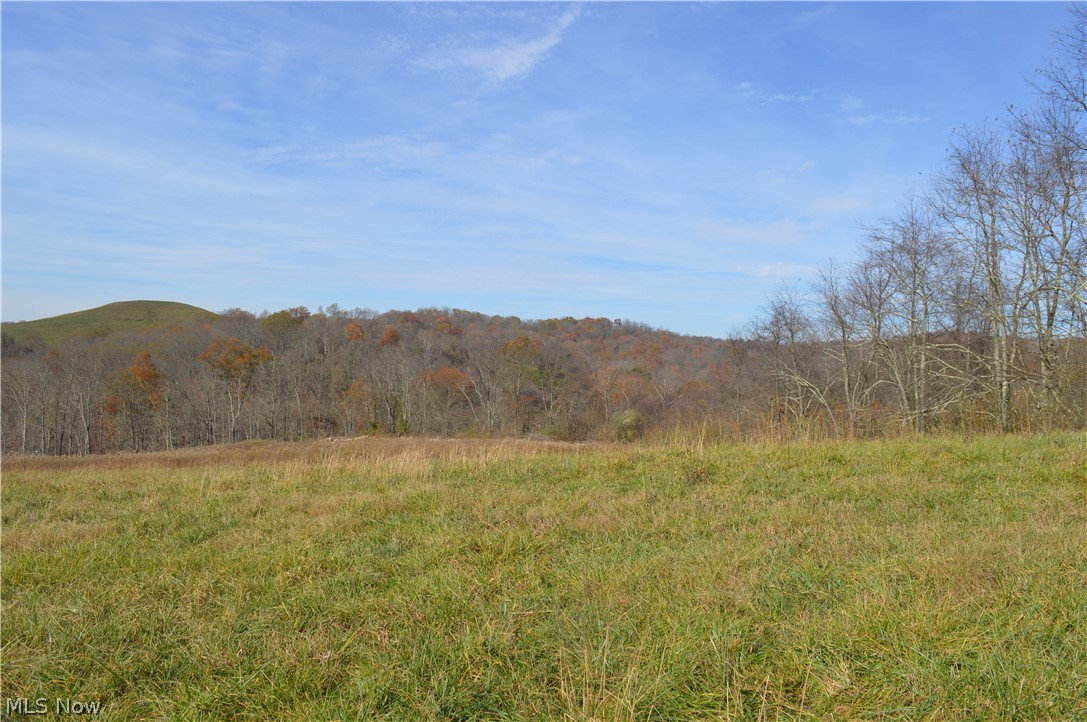 Allen Run Road Sistersville, WV 26175 - Photo 7 of 8