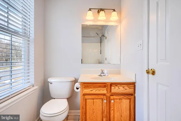 a bathroom with a sink a toilet and mirror
