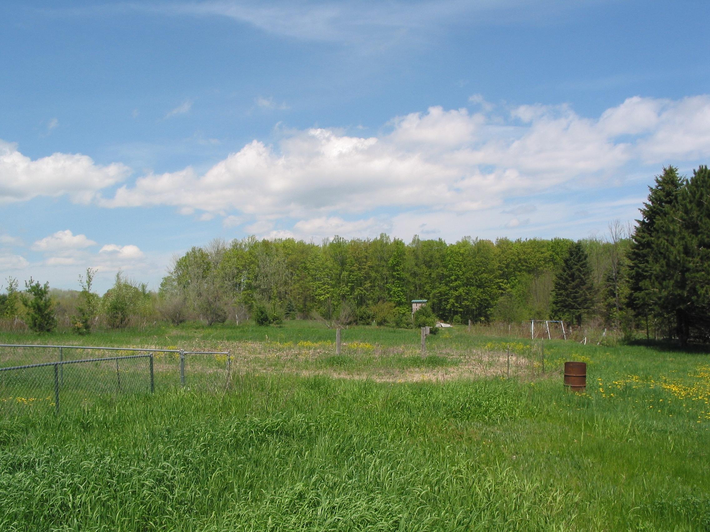 10680 Rogers Road Alanson, MI 49706 - Photo 6 of 21 Gallery Image 6