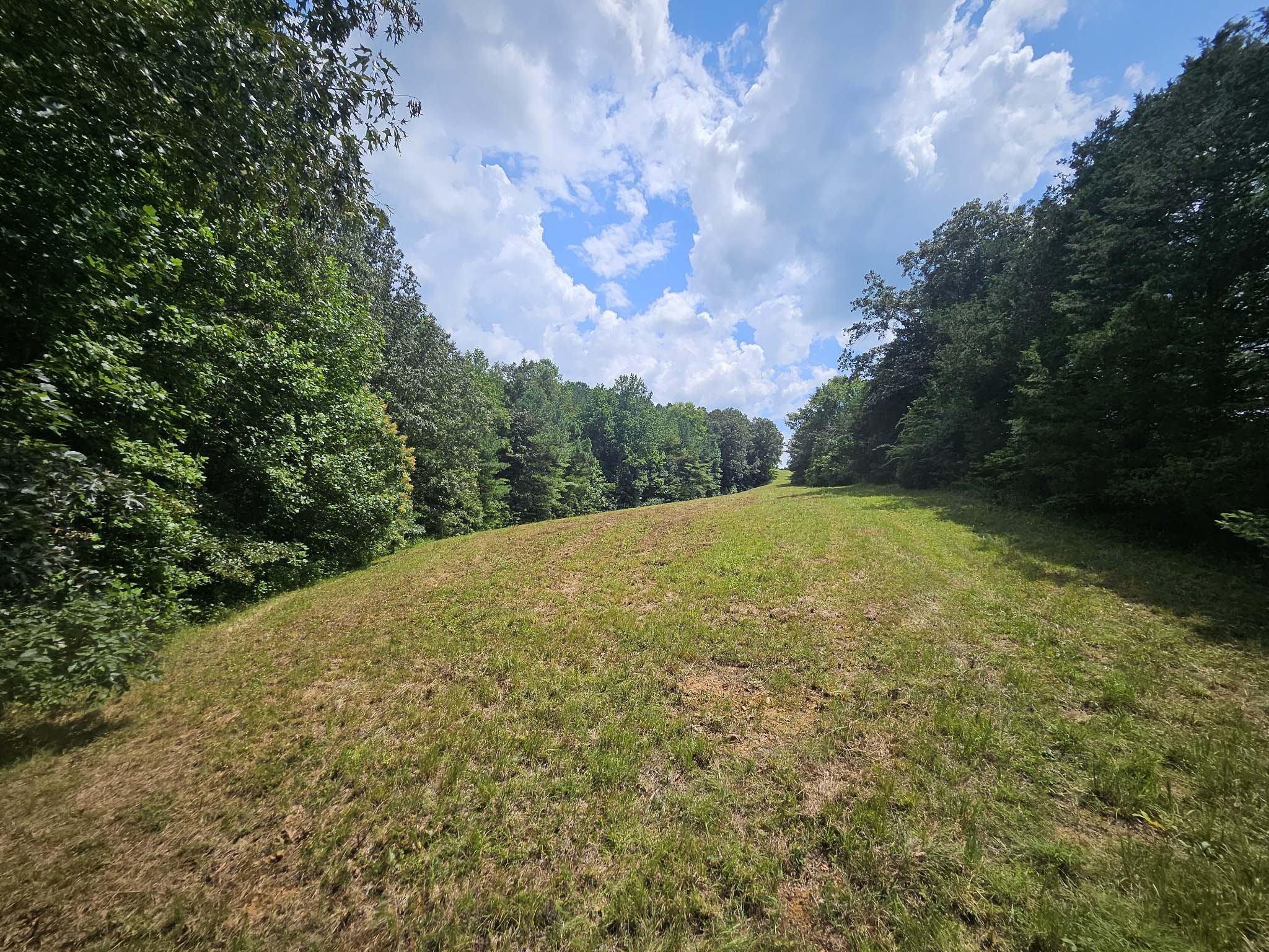 0 Young Ridge Road Sparta, TN 38583 - Photo 7 of 8
