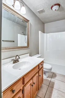 a bathroom with a sink a toilet and a mirror