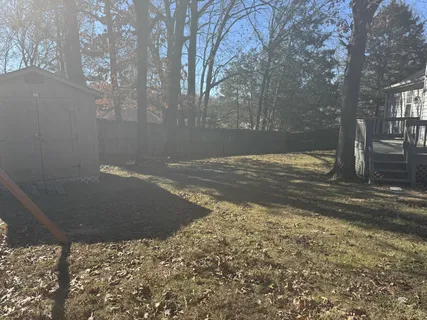 a view of a yard with a tree