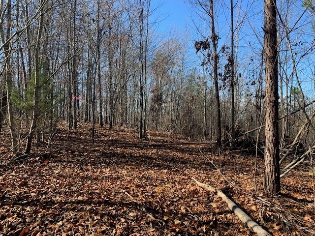 5 Reed Road Tunnel Hill, GA 30755 - Photo 1 of 13 Gallery Image 1