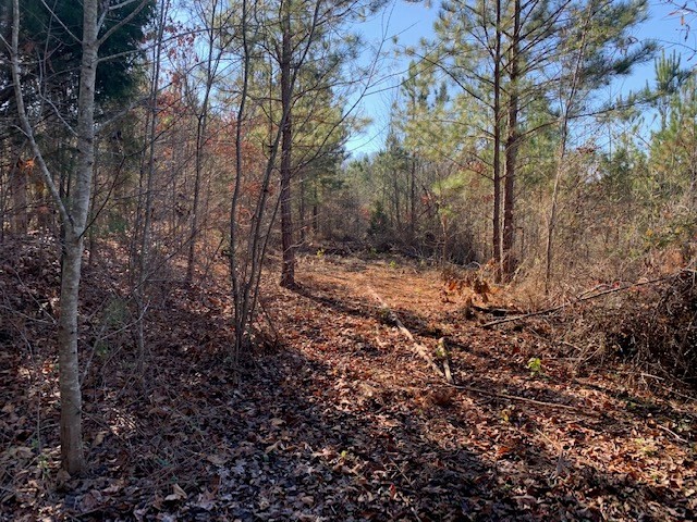 5 Reed Road Tunnel Hill, GA 30755 - Photo 12 of 13 Gallery Image 12