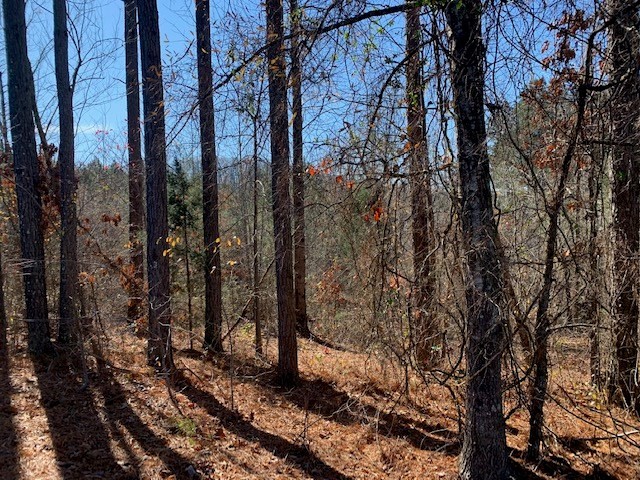 5 Reed Road Tunnel Hill, GA 30755 - Photo 3 of 13 Gallery Image 3