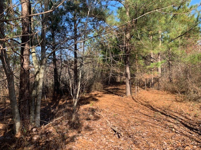 5 Reed Road Tunnel Hill, GA 30755 - Photo 8 of 13 Gallery Image 8