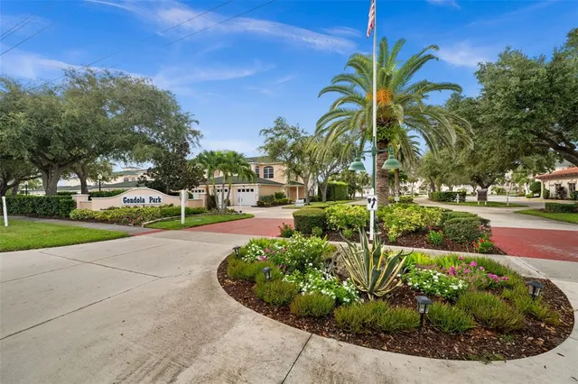 a view of a garden with palm trees