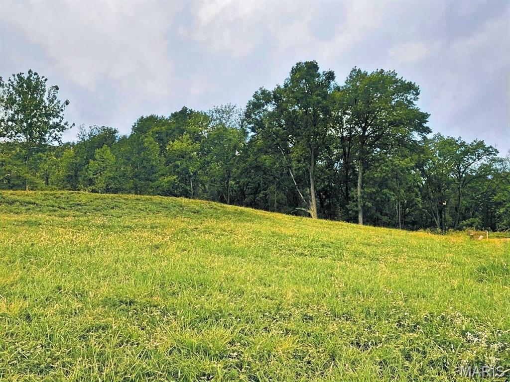 0 Boreal Ridge Caseyville, IL 62232 - Photo 3 of 9