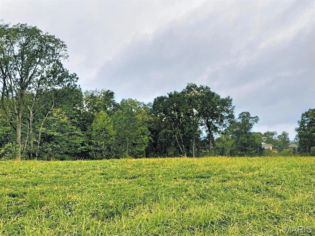 0 Boreal Ridge Caseyville, IL 62232 - Photo 4 of 9