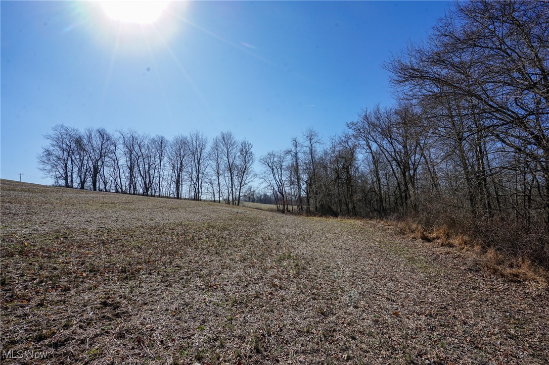 Cooks Hill Road Glenford, OH 43739 - Photo 5 of 46 View of local wilderness