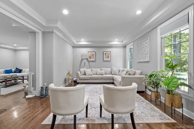 a living room with furniture and a potted plant
