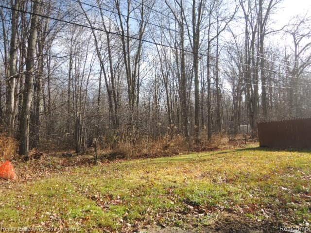 9097 Maple Road Algonac, MI 48001 - Photo 5 of 13 Case # 261-951544 Back yard.JPG