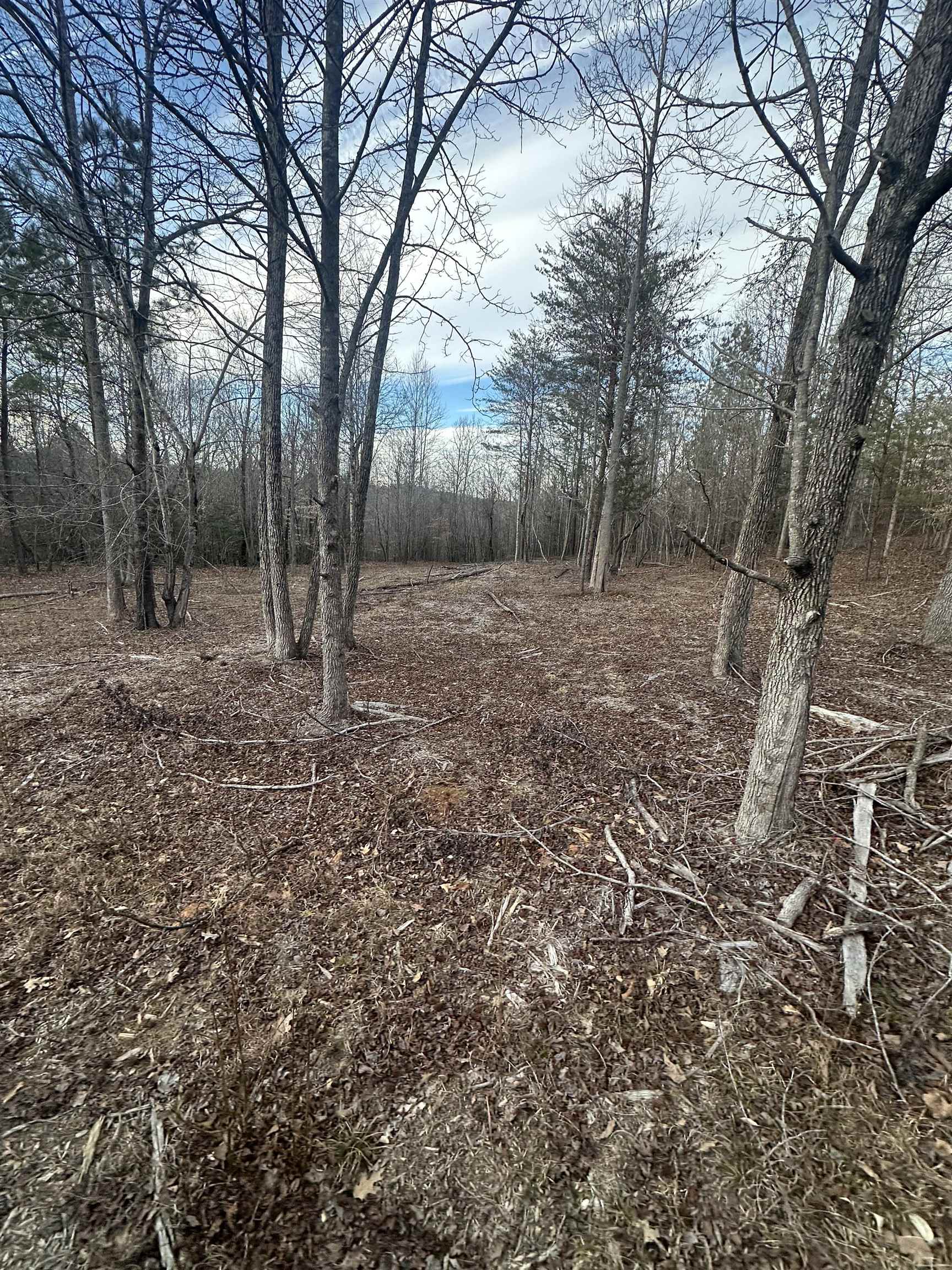 Plantation Trail Pacolet, SC 29372 - Photo 4 of 14