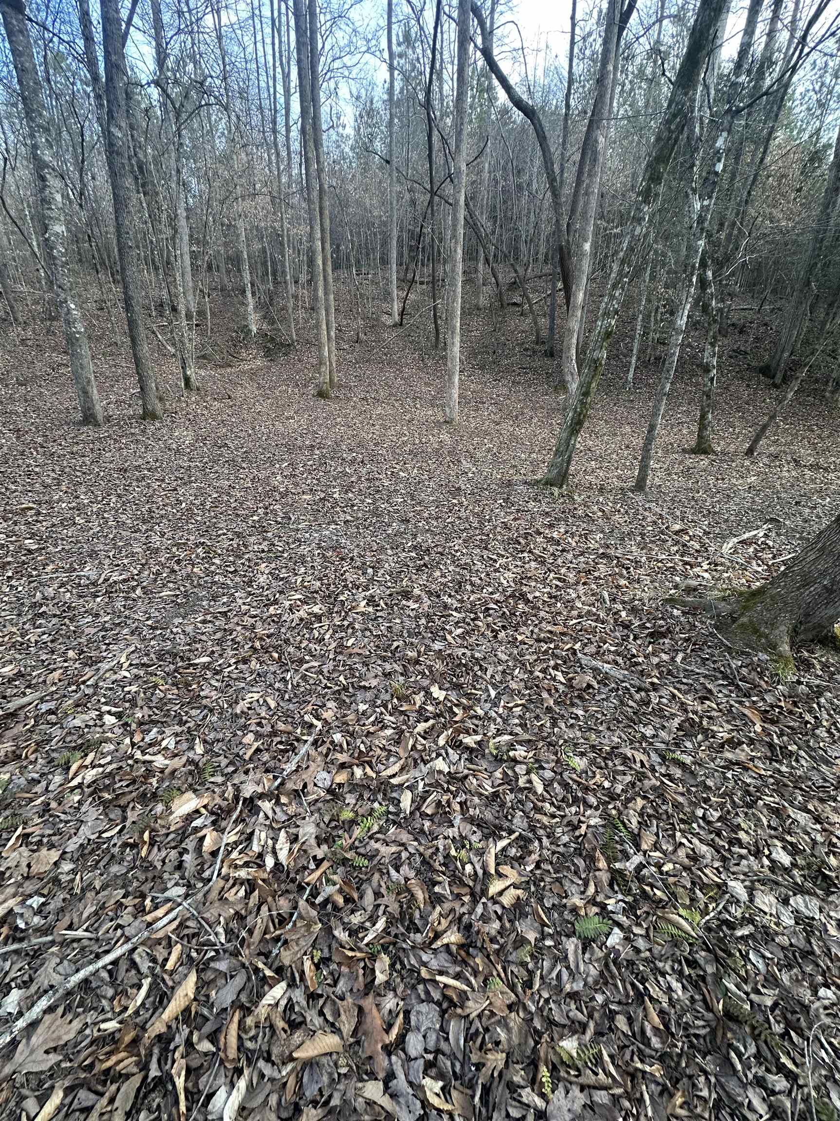 Plantation Trail Pacolet, SC 29372 - Photo 5 of 14