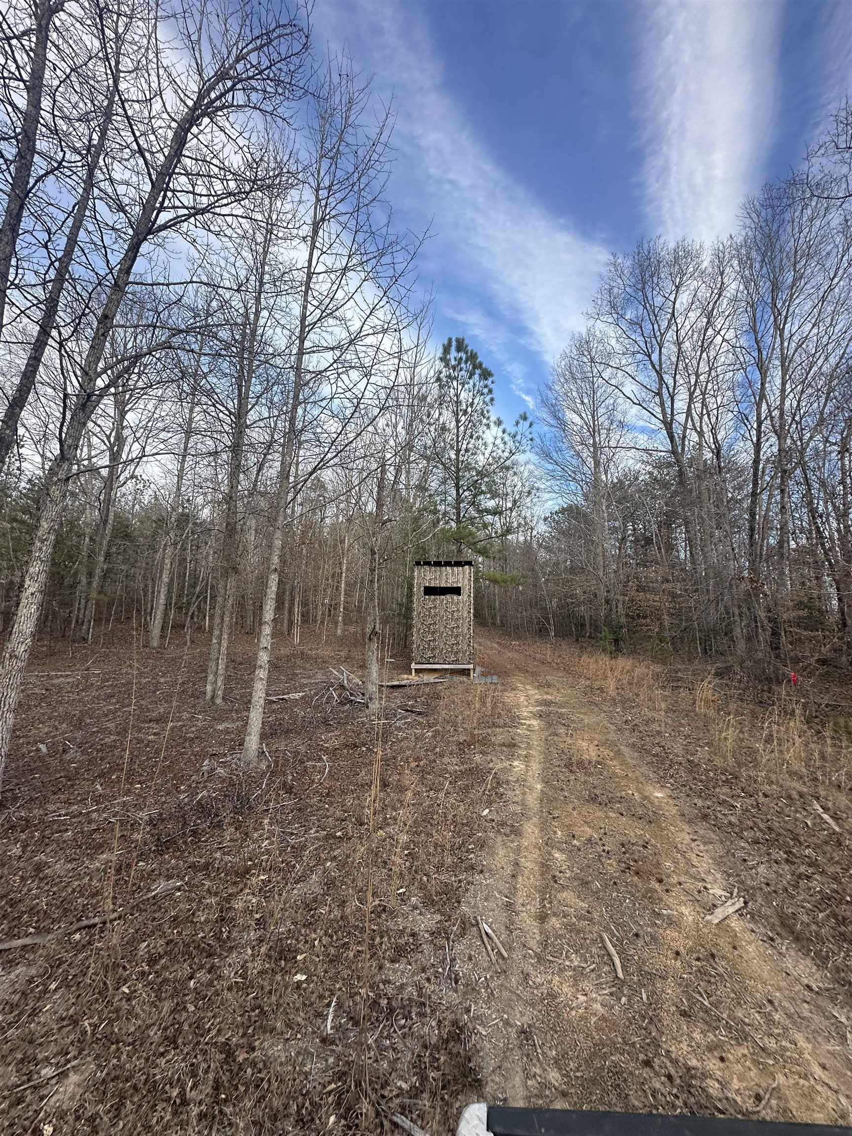 Plantation Trail Pacolet, SC 29372 - Photo 6 of 14