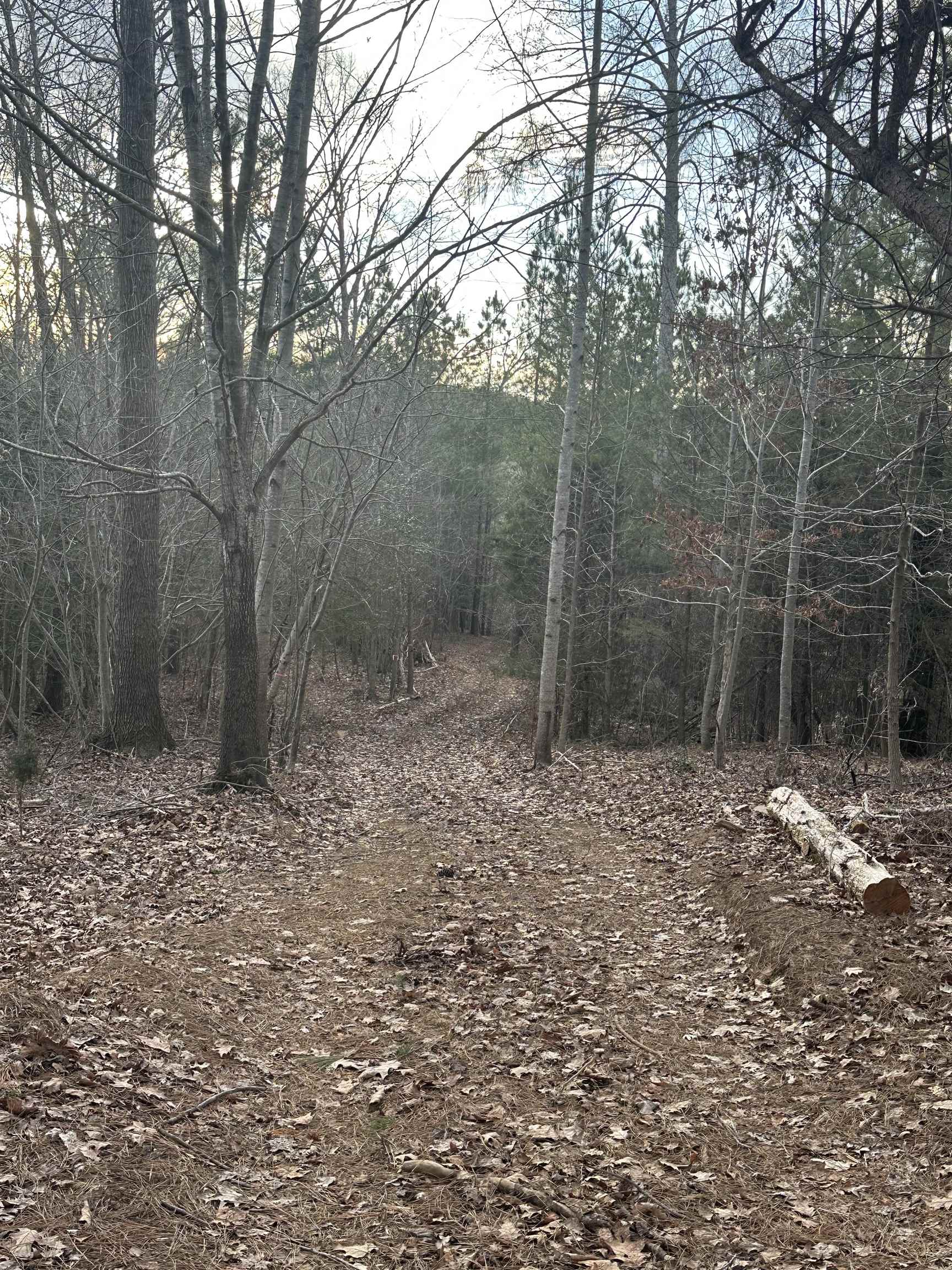 Plantation Trail Pacolet, SC 29372 - Photo 7 of 14