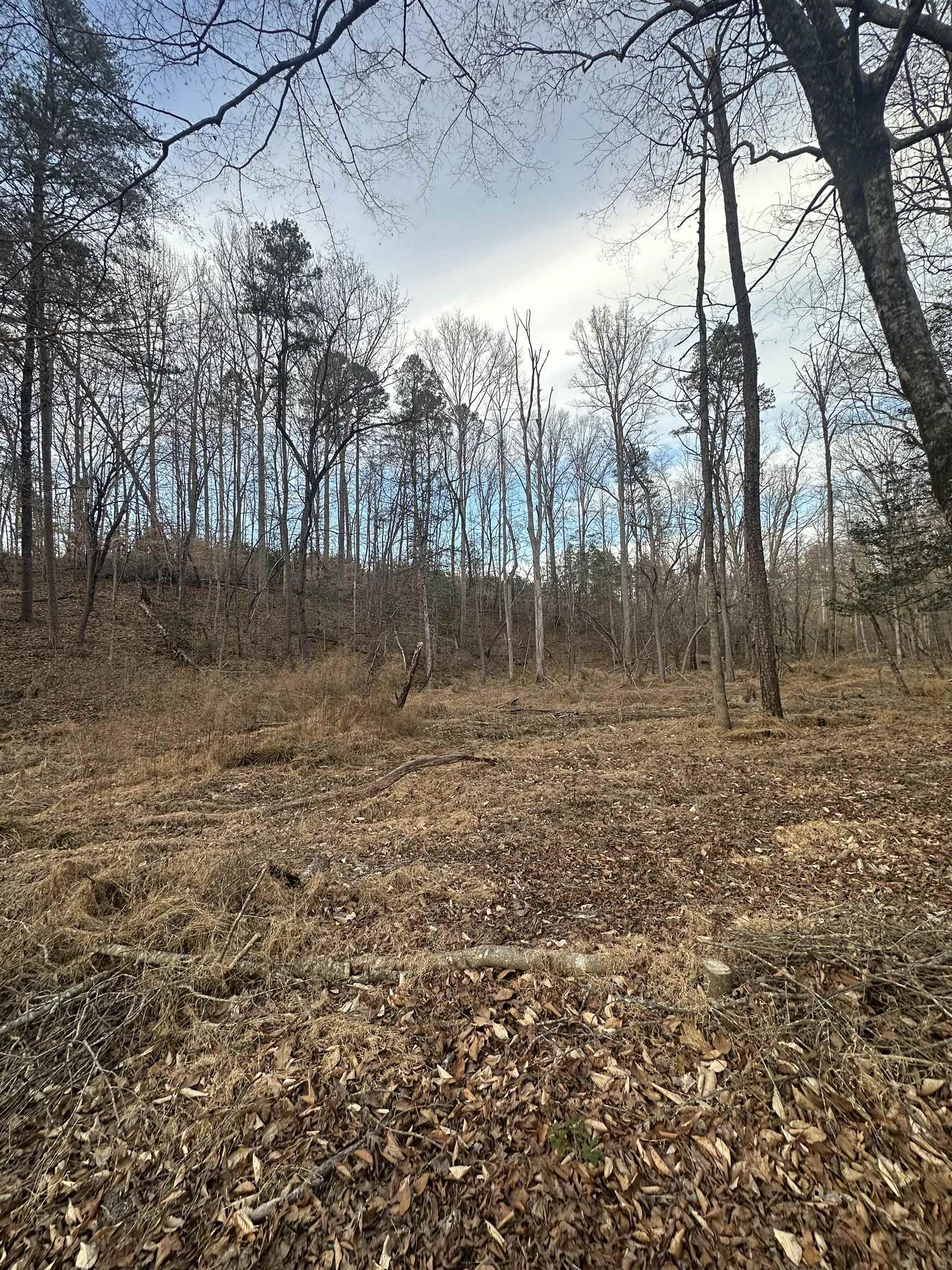 Plantation Trail Pacolet, SC 29372 - Photo 8 of 14