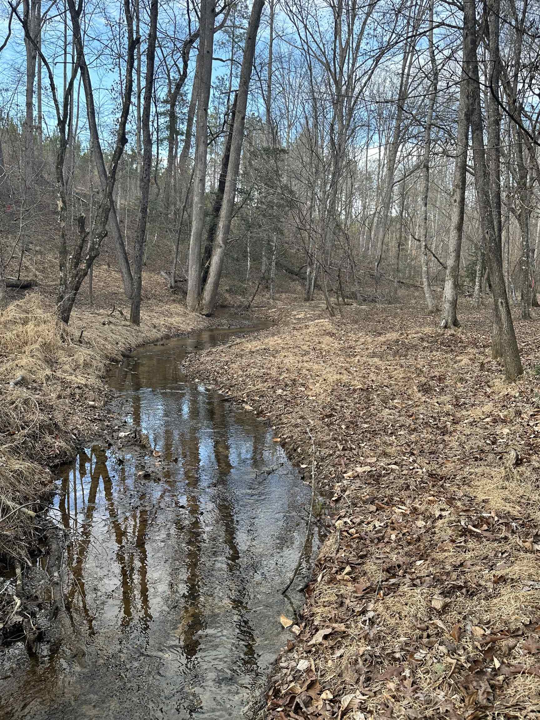 Plantation Trail Pacolet, SC 29372 - Photo 9 of 14