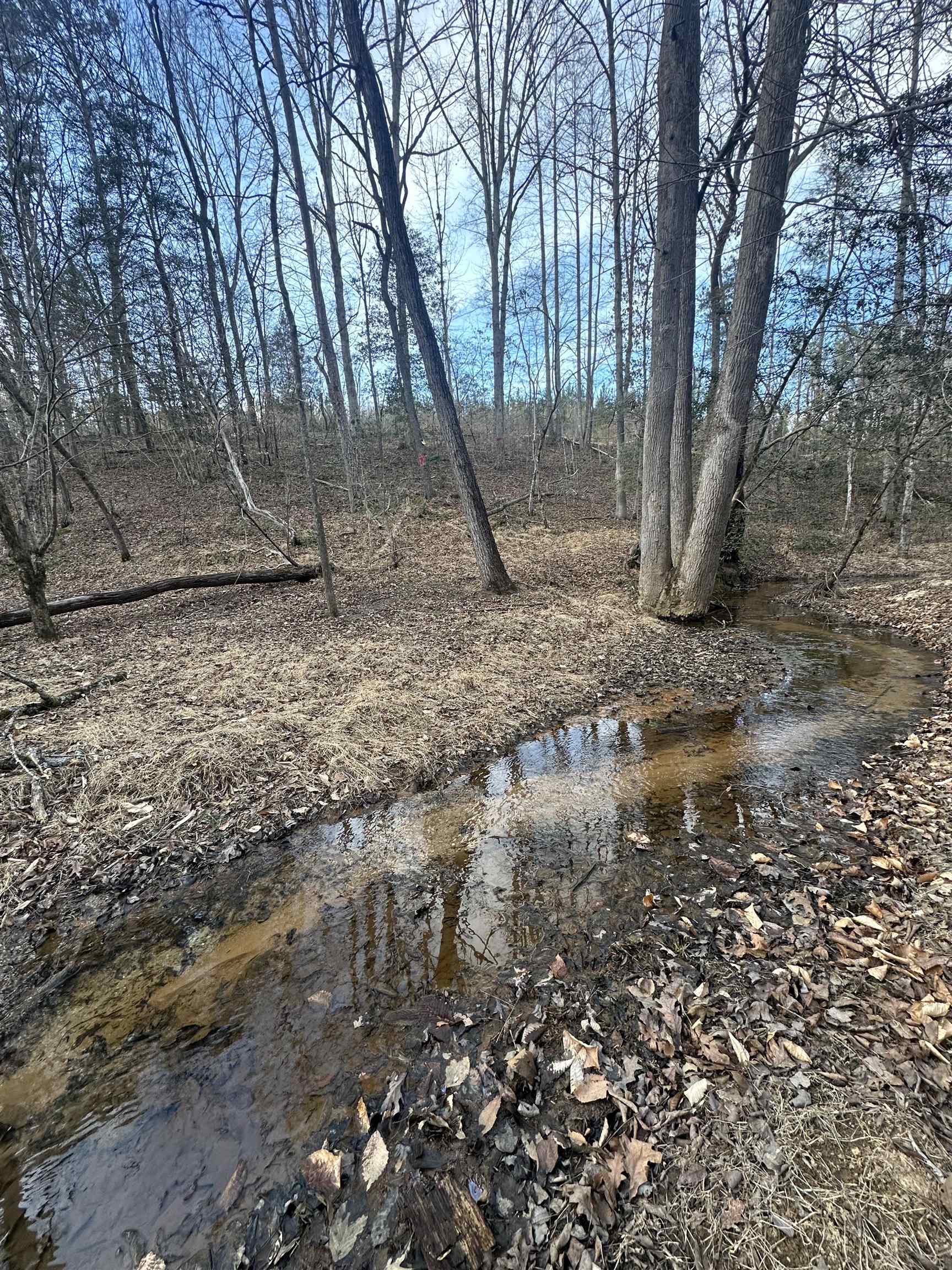 Plantation Trail Pacolet, SC 29372 - Photo 10 of 14