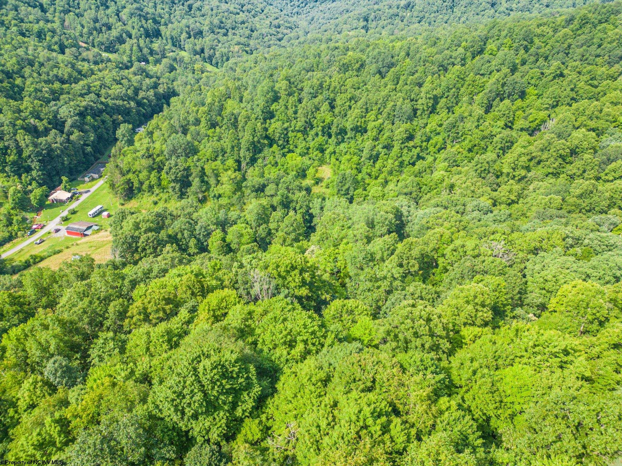 3860 Rush Run Road Burton, WV 26562 - Photo 15 of 21 Gallery Image 15