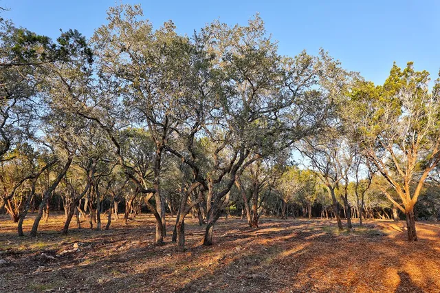 $699,000 | 196 B Rock Bottom Road, Hunt, TX 78024