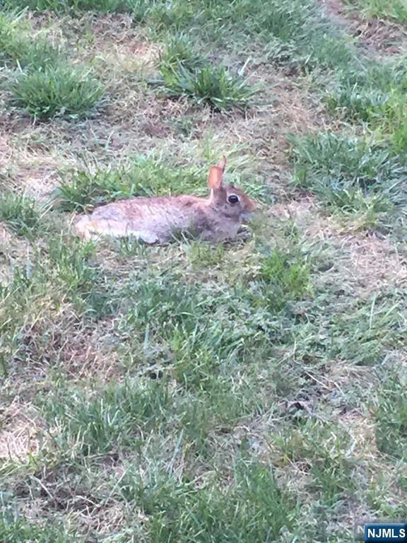 280-320 Oak Street, Unit 304B Ridgewood, NJ 07450 - Photo 17 of 28