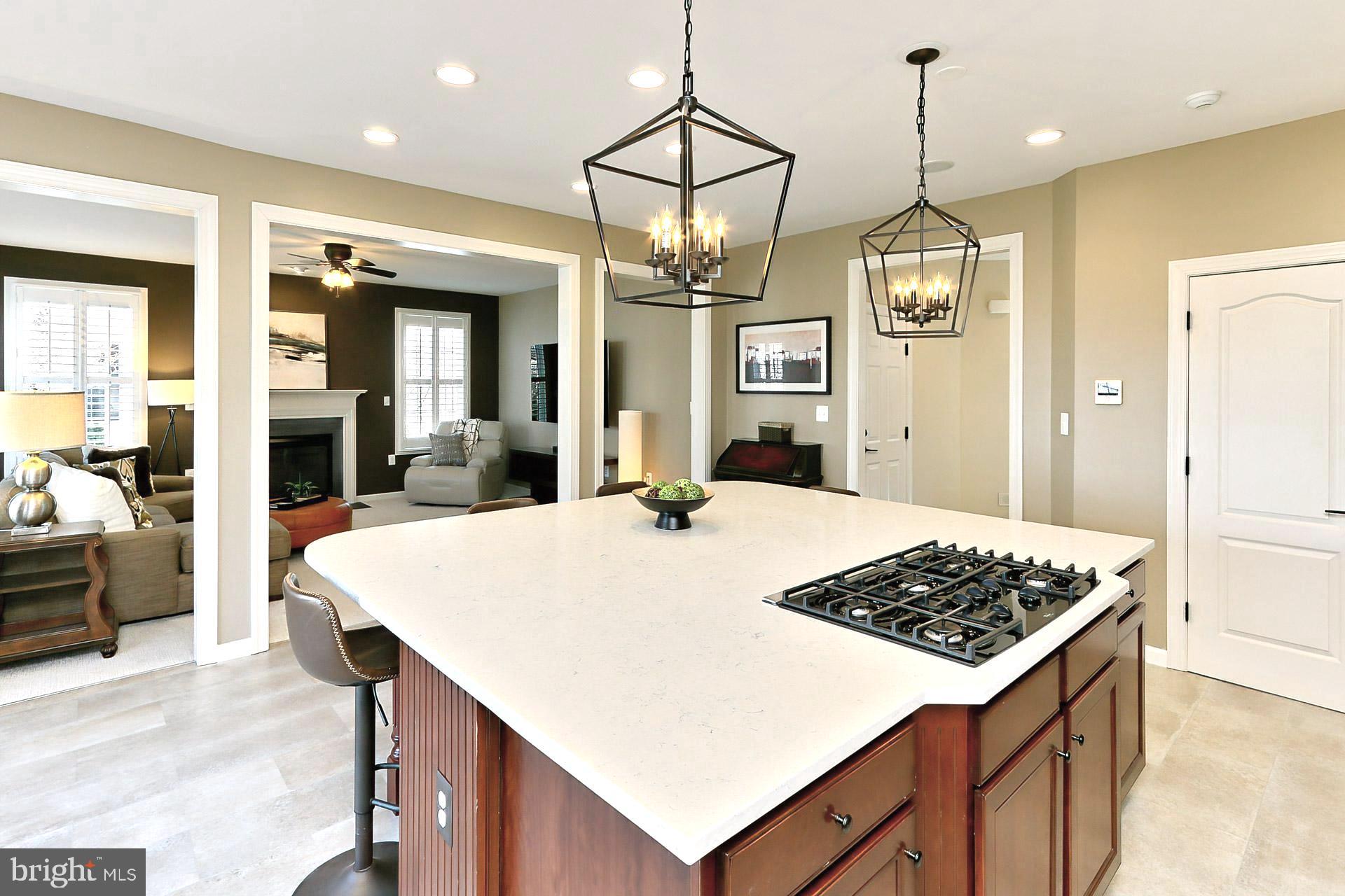 42440 Spring Splendor Drive Brambleton, VA 20148 - Photo 13 of 69 New Pendant Lighting, New Luxury Flooring