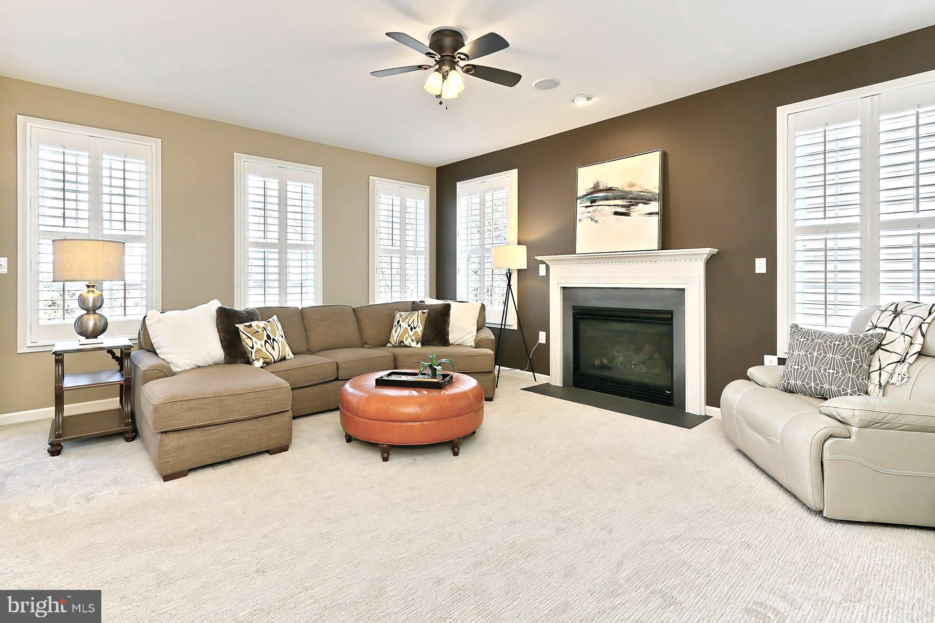 42440 Spring Splendor Drive Brambleton, VA 20148 - Photo 15 of 69 Gas Fireplace, Plantation Shutters