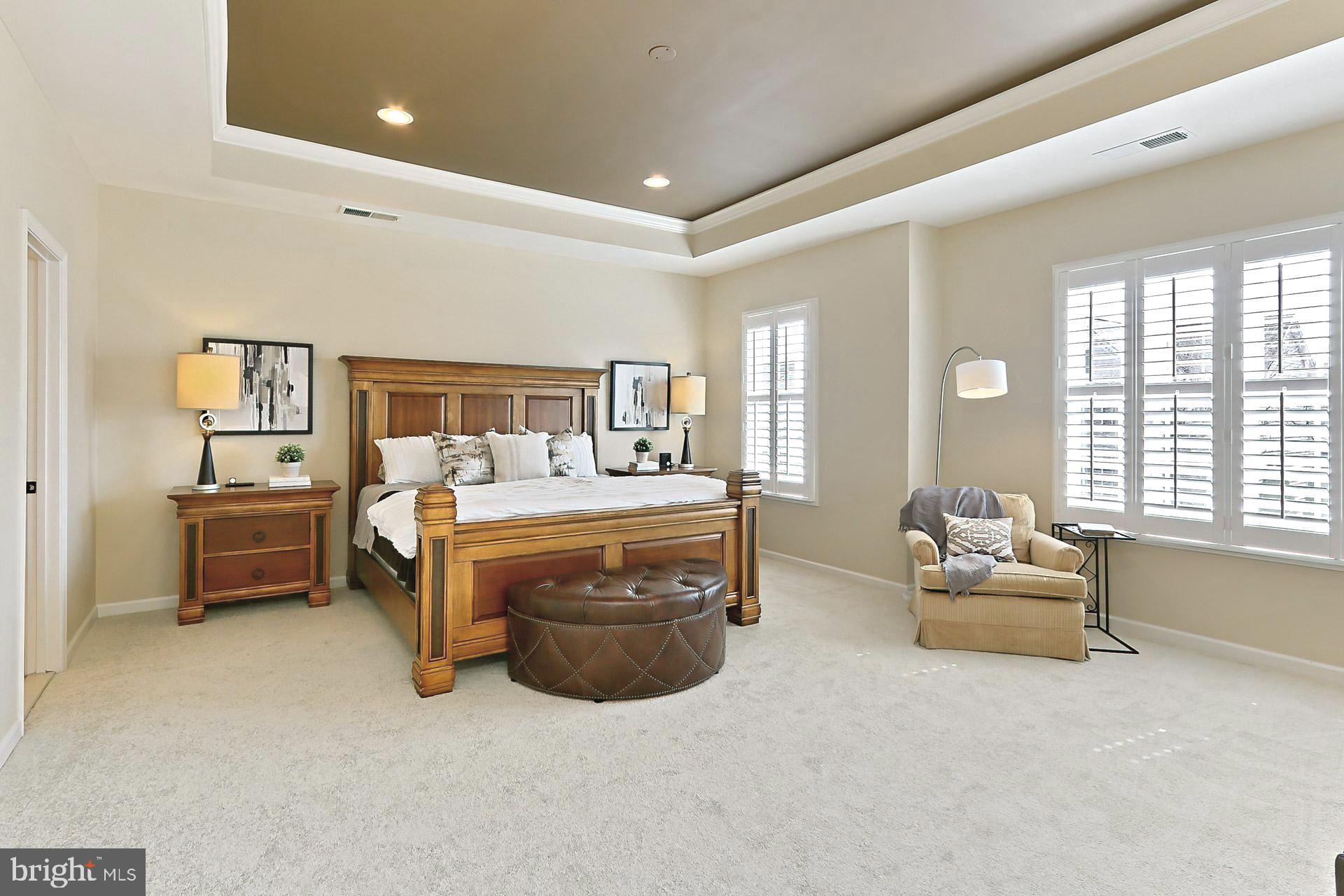 42440 Spring Splendor Drive Brambleton, VA 20148 - Photo 18 of 69 Owners Suite with New Plush Carpeting