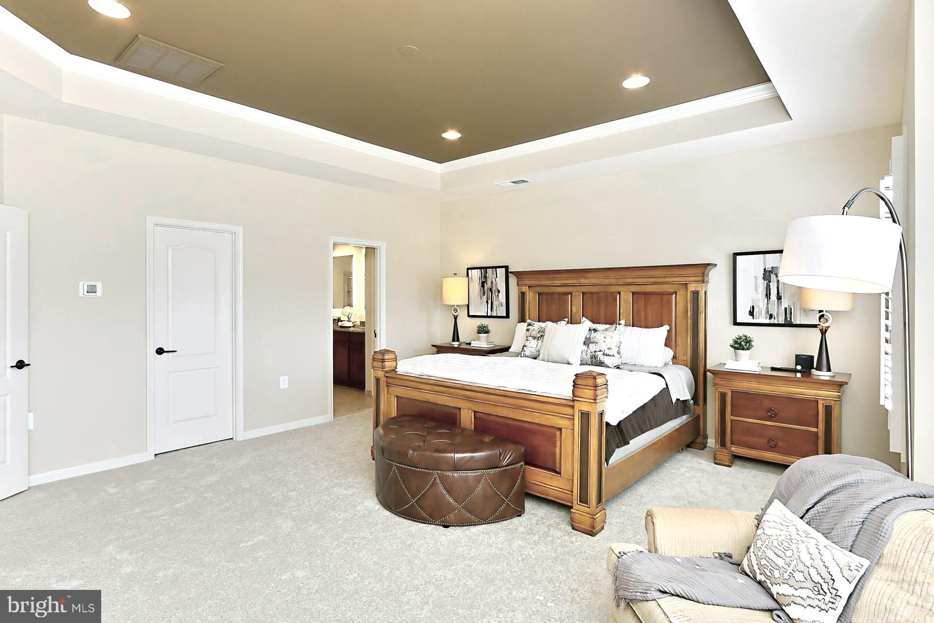 42440 Spring Splendor Drive Brambleton, VA 20148 - Photo 19 of 69 Tray Ceiling w/ Rec Lighting