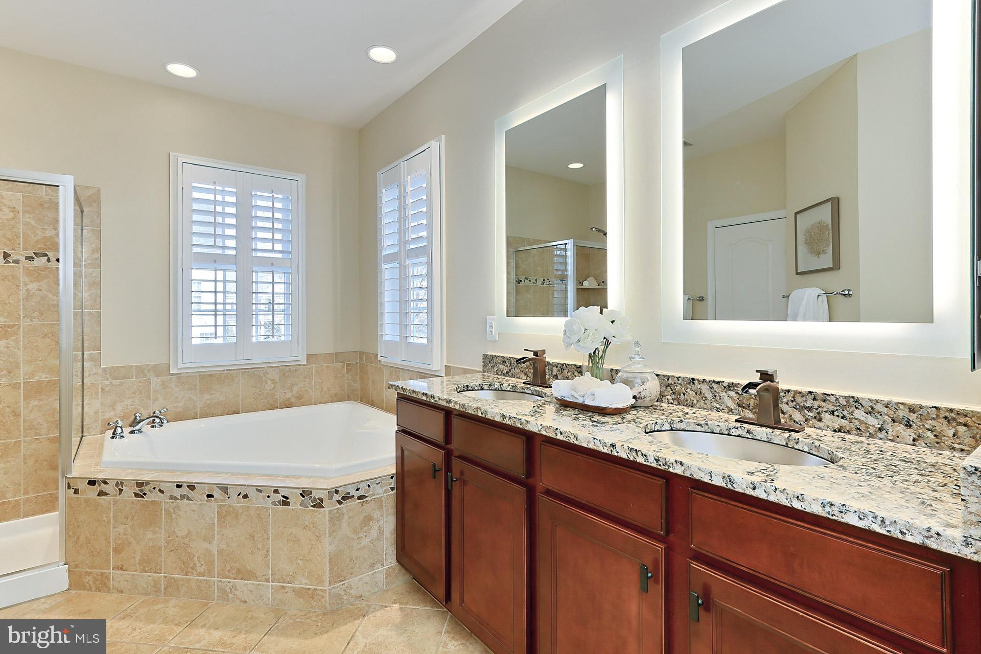 42440 Spring Splendor Drive Brambleton, VA 20148 - Photo 21 of 69 Luxury Owners Bath w/ Granite Counter and SS sinks