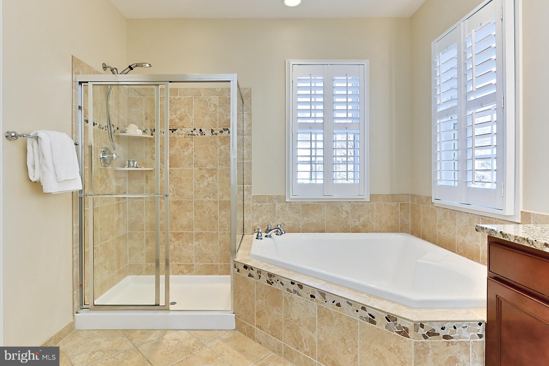 42440 Spring Splendor Drive Brambleton, VA 20148 - Photo 22 of 69 Private H2O Clst, Soaking Tub and Neutral Tile