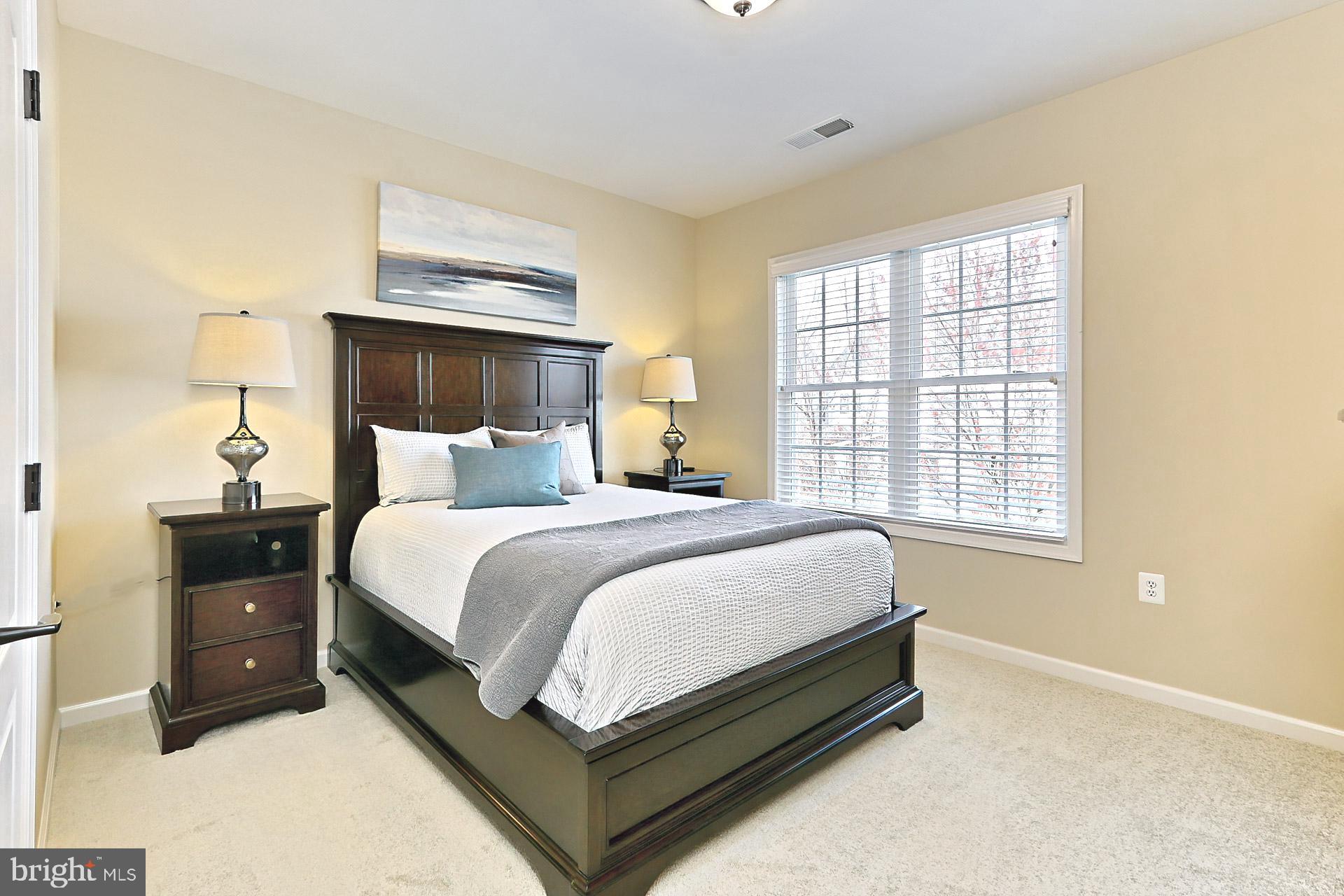 42440 Spring Splendor Drive Brambleton, VA 20148 - Photo 25 of 69 Bed #3: New Plush Carpet, Walk-In Clst + Clg Light
