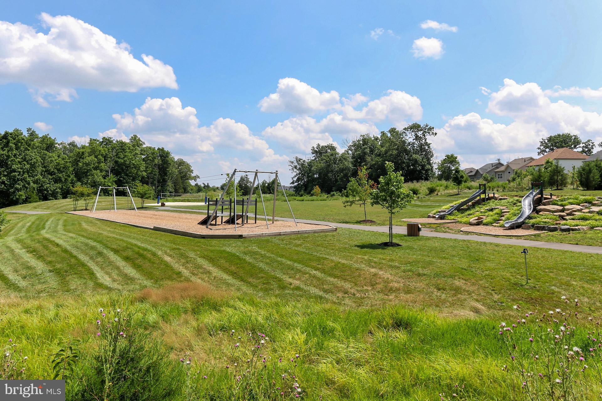 42440 Spring Splendor Drive Brambleton, VA 20148 - Photo 60 of 69 Swings // Slides // Volleyball // Zip Lining ++